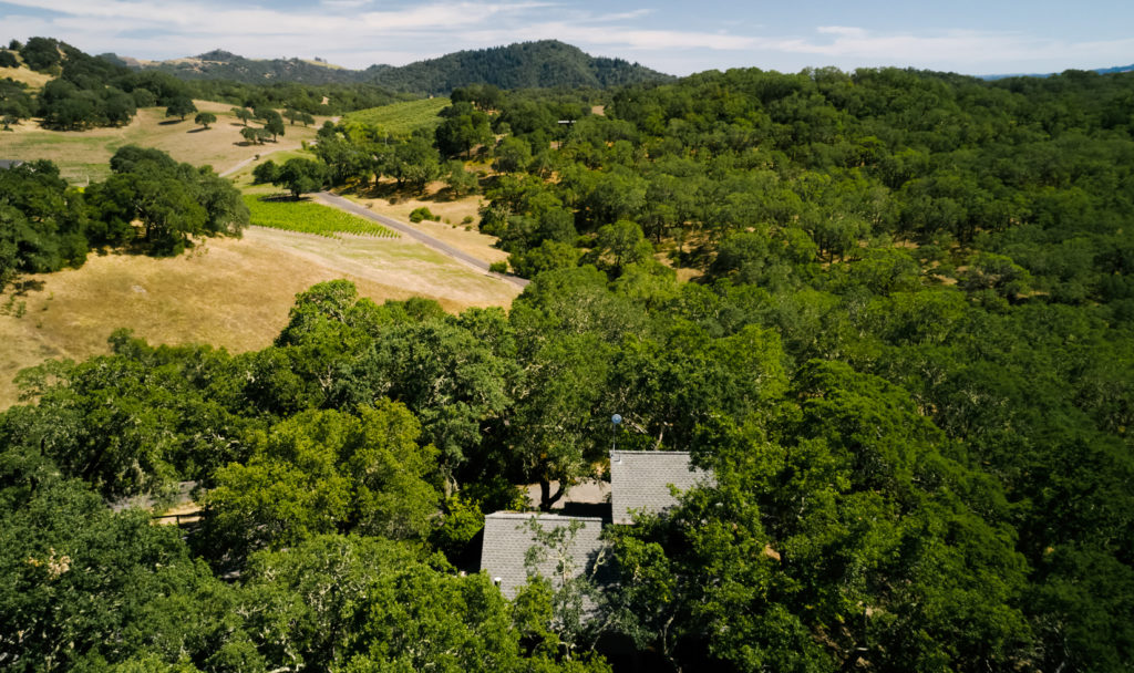 Drone photo of guesthouse in Sonoma County oak trees and vineyards