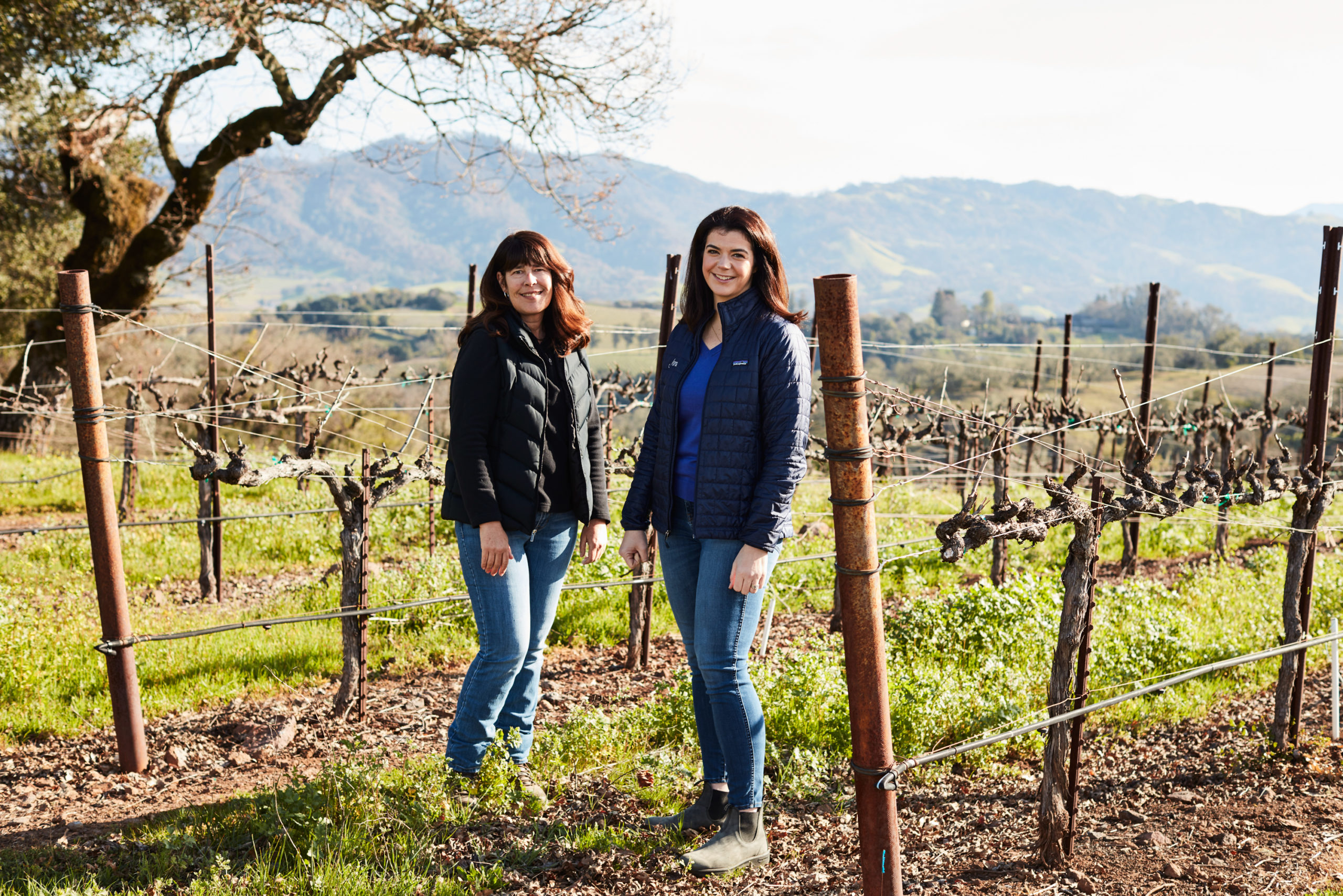 Winemakers in Sonoma County standing in Jordan Winery vineyards