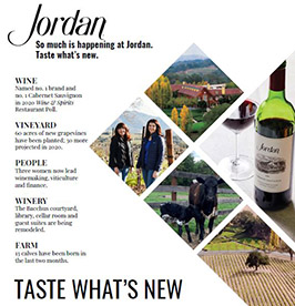 Taste What’s New Flyer