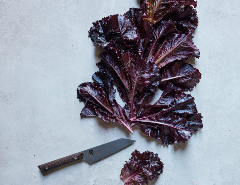 Purple lettuce leaves and a knife