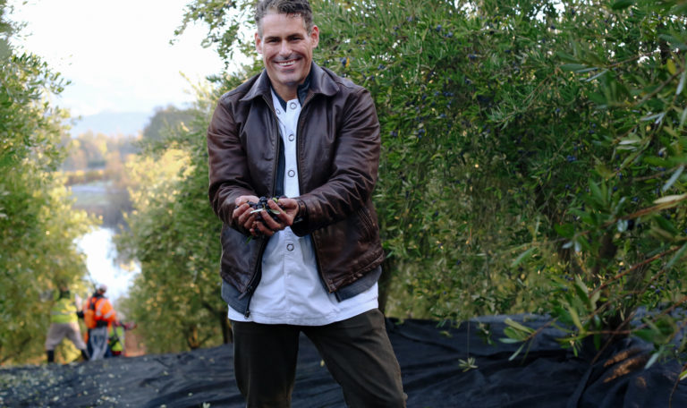 A man in a brown leather jacket cups fresh purple olives in his hands. He is standing and smiling in an olive orchard. In the background, workers in safety jackets continue to harvest olives on the lakefront.