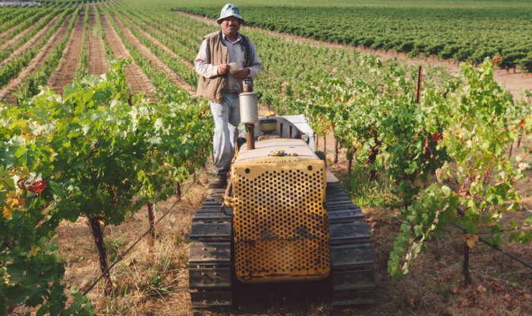 A worker in a brown vest and denim bucket hat smiles while standing on a vintage yellow tractor in vineyards.
