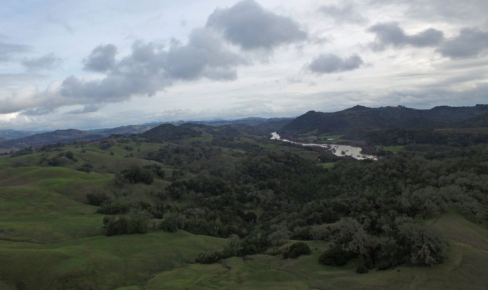 Aerial view looking over the Russian River overflowing onto the banks surrounded by rolling green woodlands.