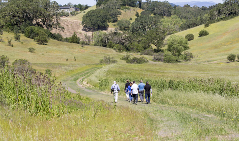 Rear view of 7 people walking up a green grassy trail. Ahead of them on hills are oak trees, empty vineyard rows, and a green building up top.