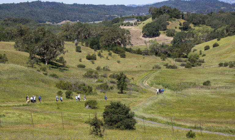 Hilly landscape with trails converging in the center leading up to a building on the hill. People hike in from the left. There are lots of oak trees and below the house are empty vineyard rows.