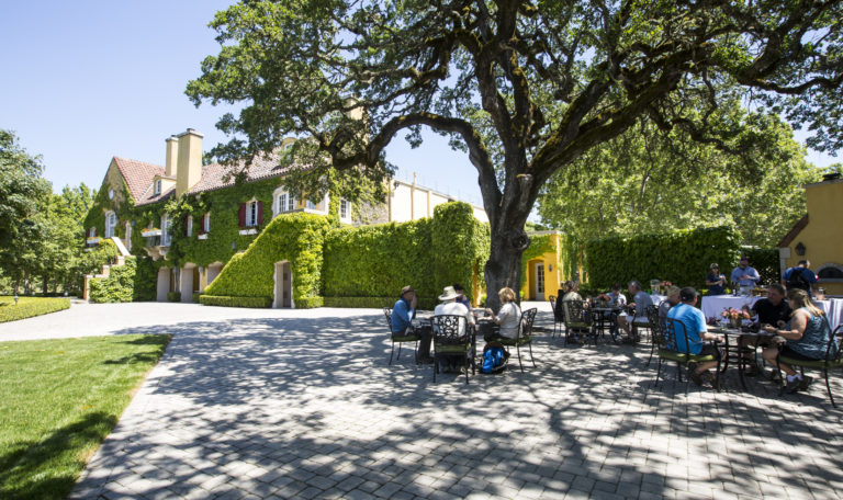 Guests seated in the shade at black patio tables under a large oak tree outside Jordan Winery. The building is covered in dense ivy with white windows and red shutters.