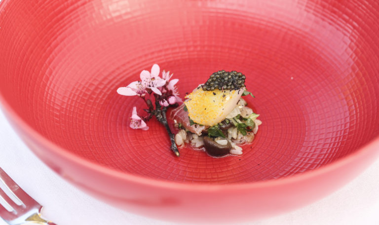 Sashimi, caviar, and rice finely plated in a red bowl next to a cherry blossom.