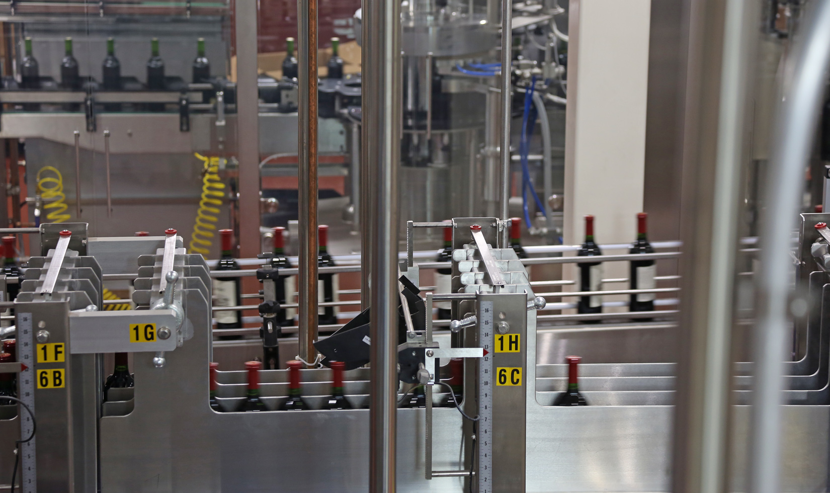 Bottles of red wine on the case packing conveyor. More bottles are being labeled in the background.