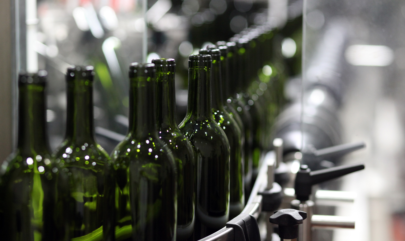 Close-up of unlabeled green wine bottles on a silver and clear conveyor belt.
