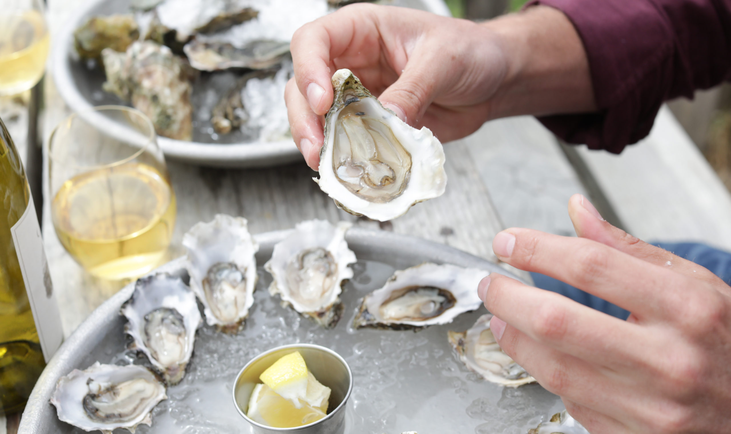 hand holding oyster with more oysters and chardonnay in background