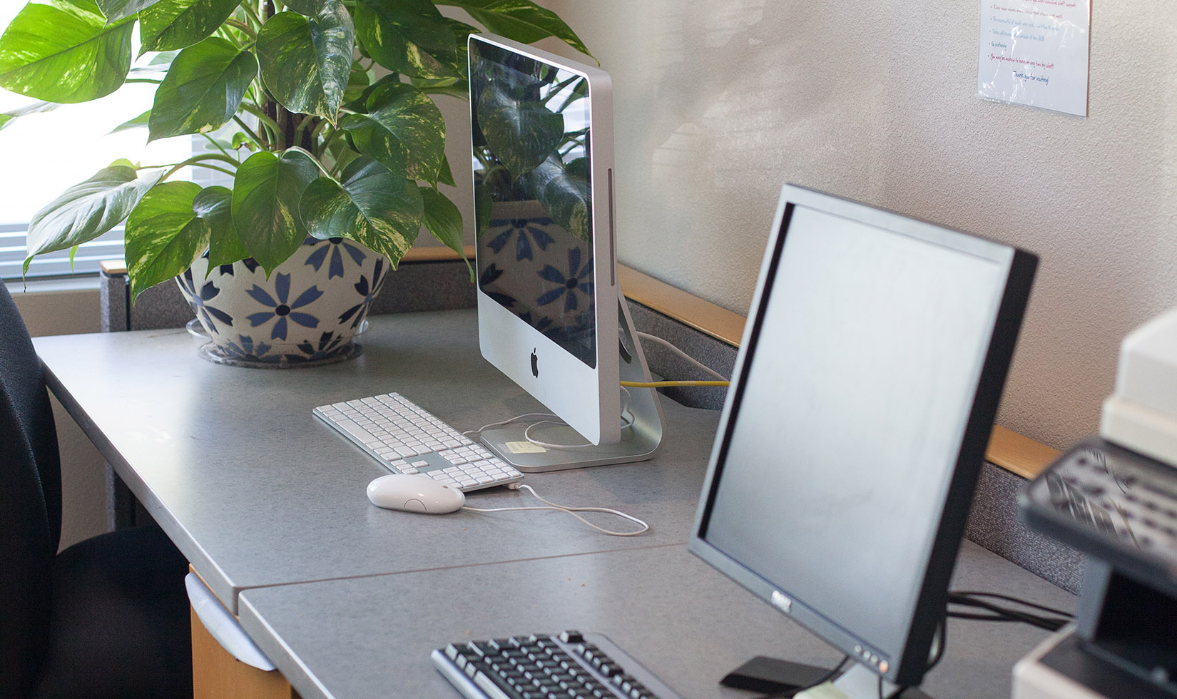 iMac and PC on desk with green plant in background