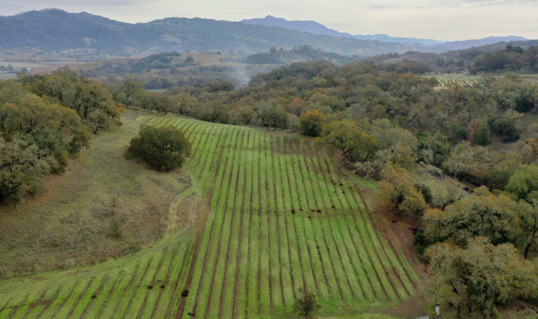 aerial view of vineyard, forests and mountain views in fall