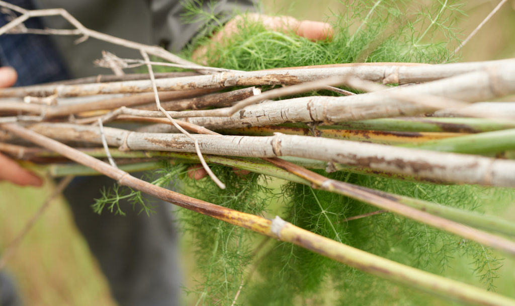 gathered branches in hands