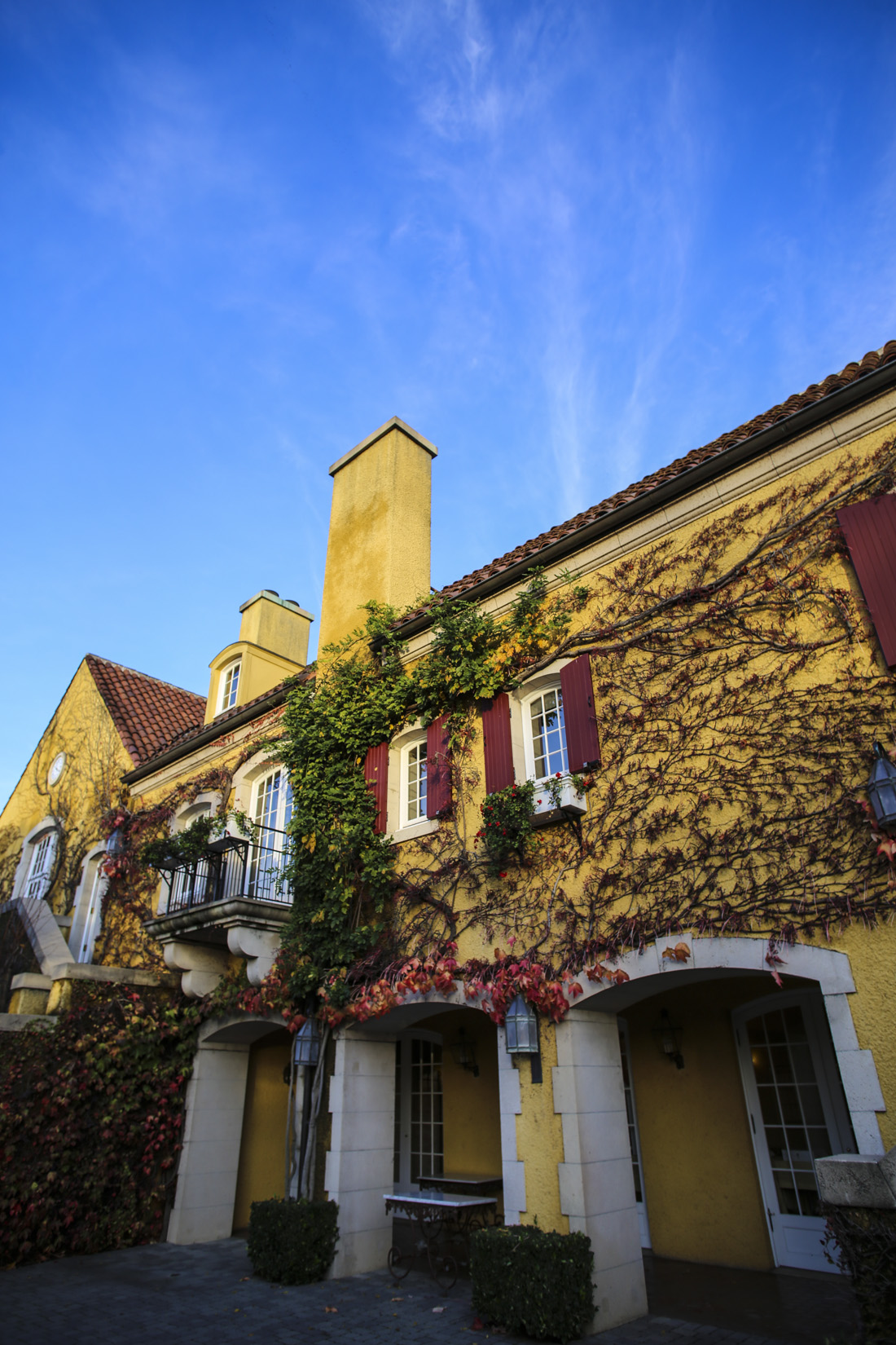 Mustard yellow facade of Jordan Chateau with ivy growing across the wall