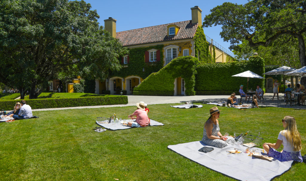 people sitting on picnic blankets on green grass with blue sky