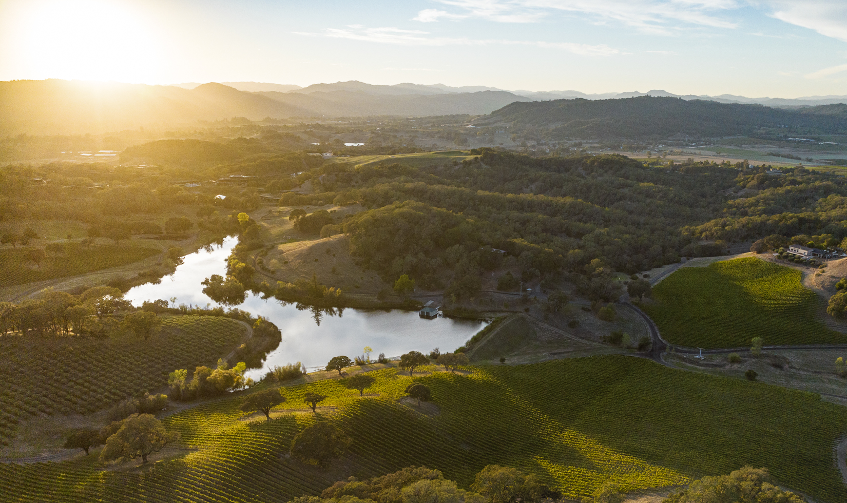 aerial view of Sonoma County land with vineyards, olive trees and lake at sunset
