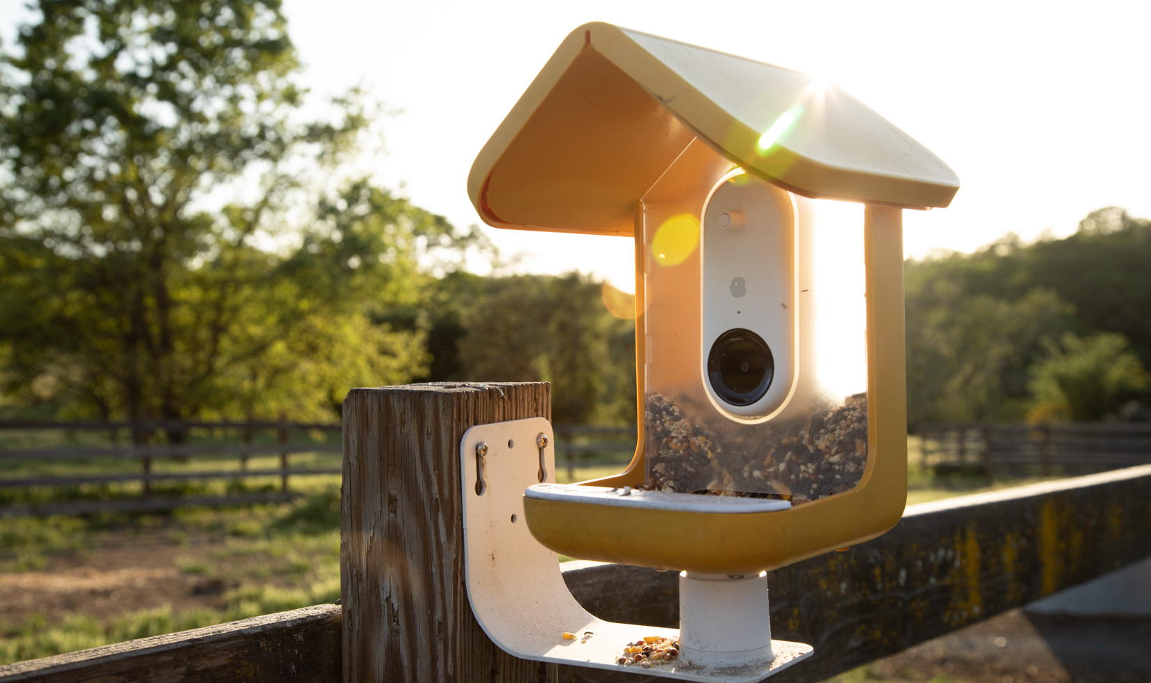 bird feeder with lens flare sitting on wood fence