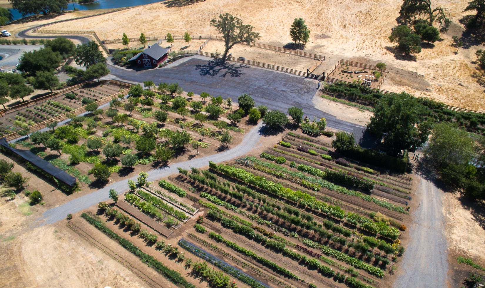 Aerial view of the Jordan gardens and apiary