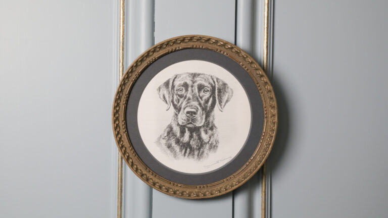 Framed drawing of a Black Labrador dog