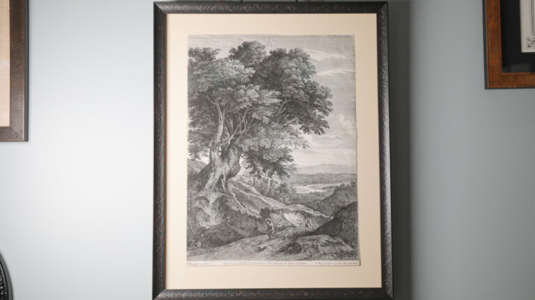 Drawing of oak tree