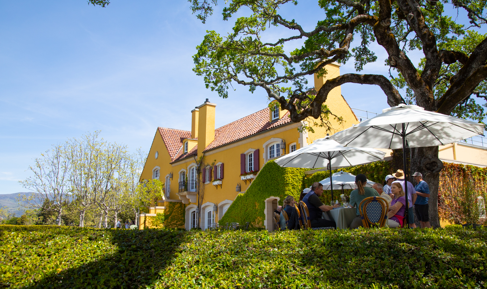 guests seated on terrace with yellow chateau and trees in the background
