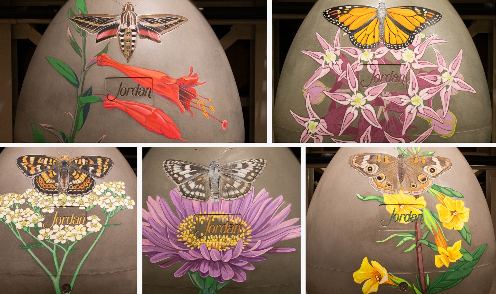 collage of five different illustrations of butterflies and plants on a concrete egg-shaped wine fermenter