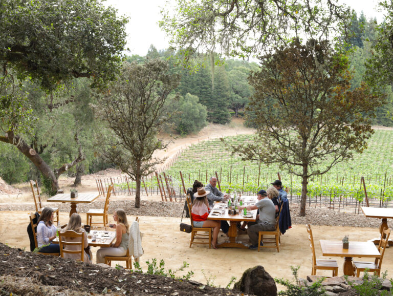 groups doing wine tastings at outdoor tables by vineyard vine rows