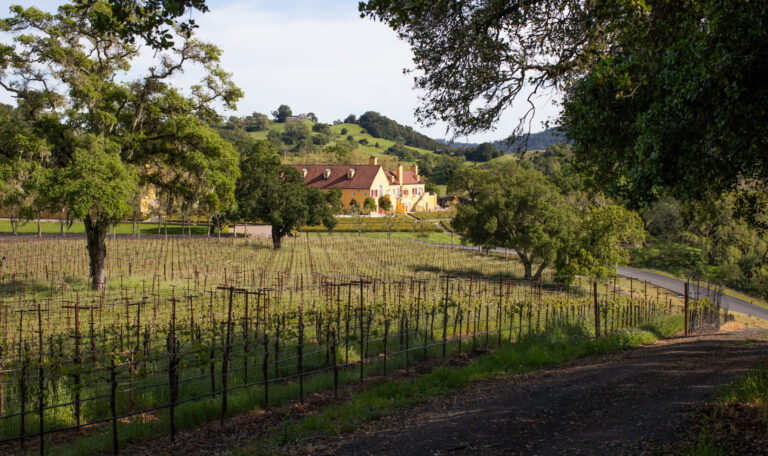 the Jordan Chateau in the distance with rows of vineyard vines in the foreground