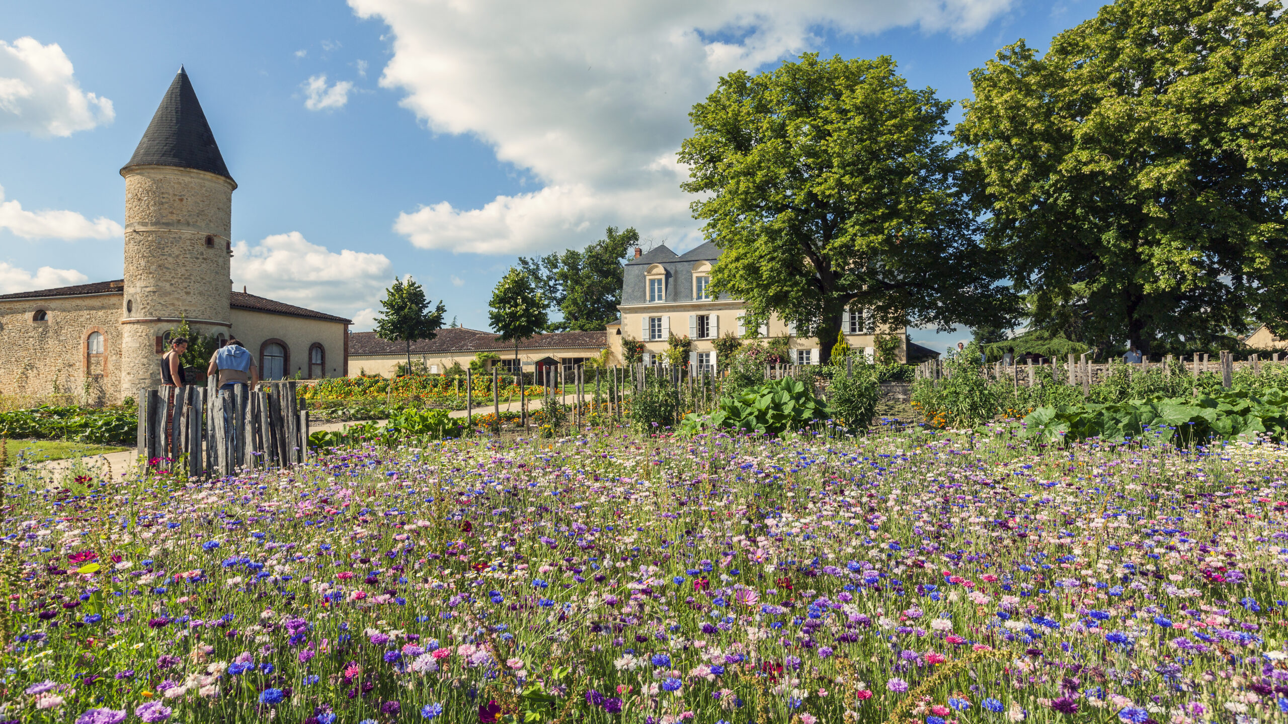expansive pollinator gardens in front of chateau in france