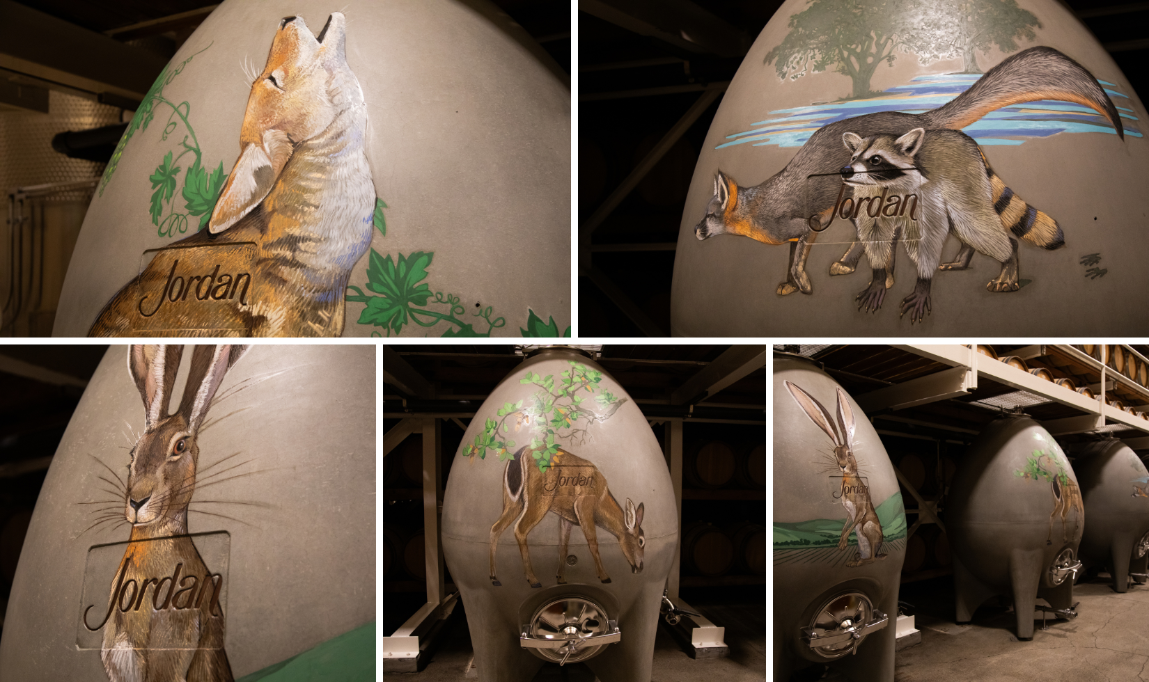 collage of concrete egg fermenters with chalk art illustrated
