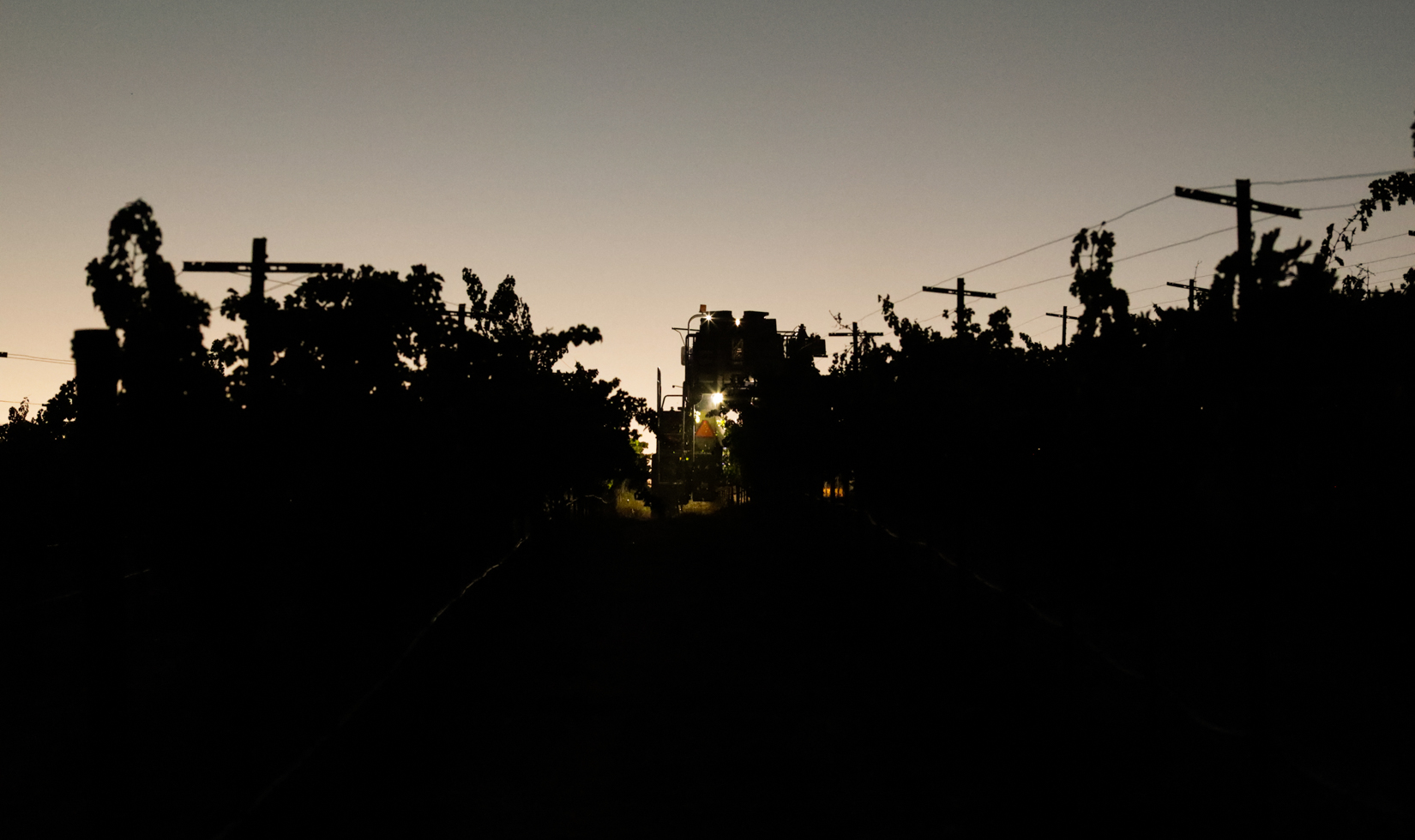 tractors during sunrise on vineyard